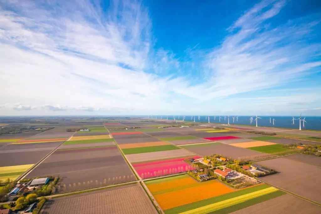 Gemeente noordpolder case