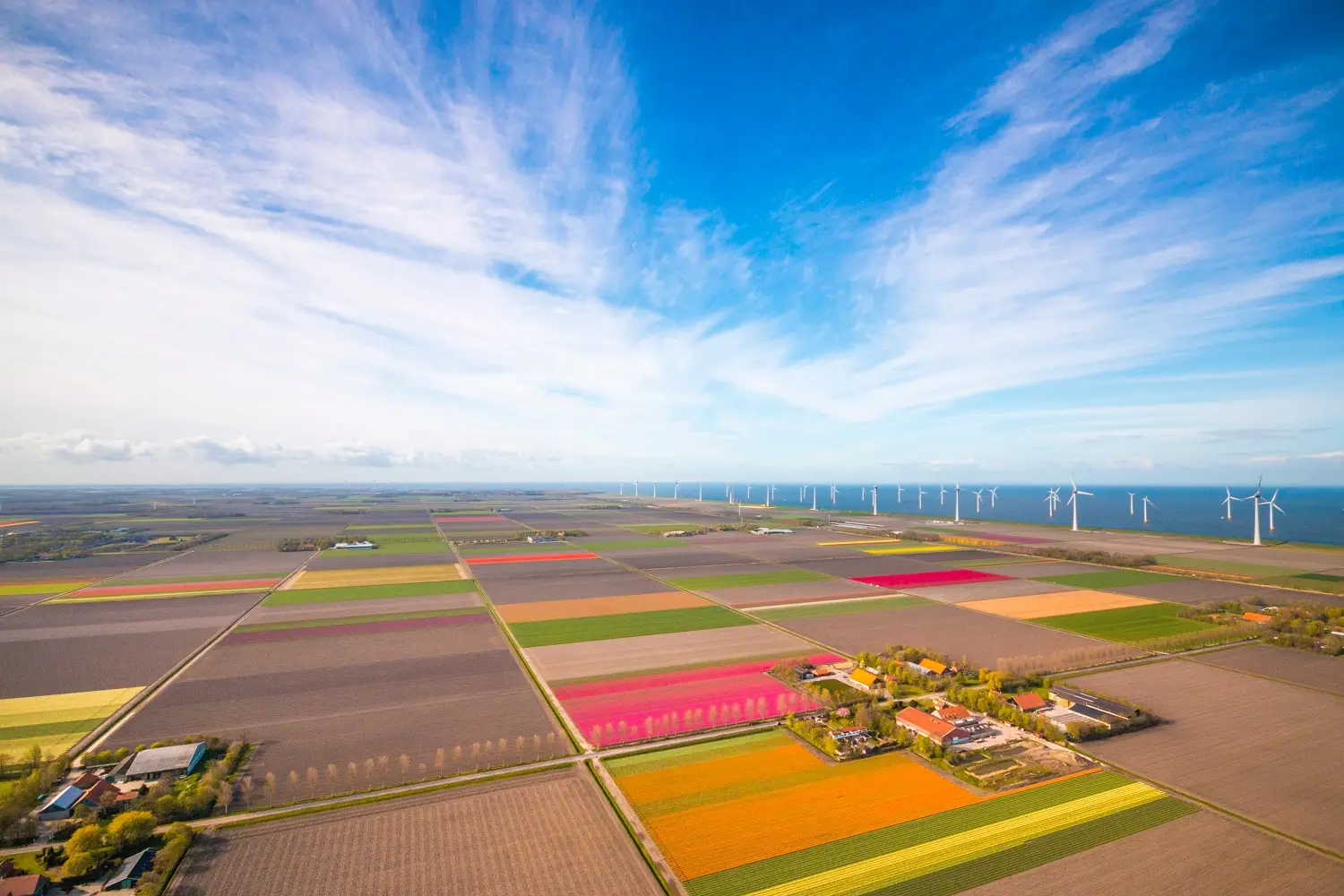 Gemeente noordpolder case
